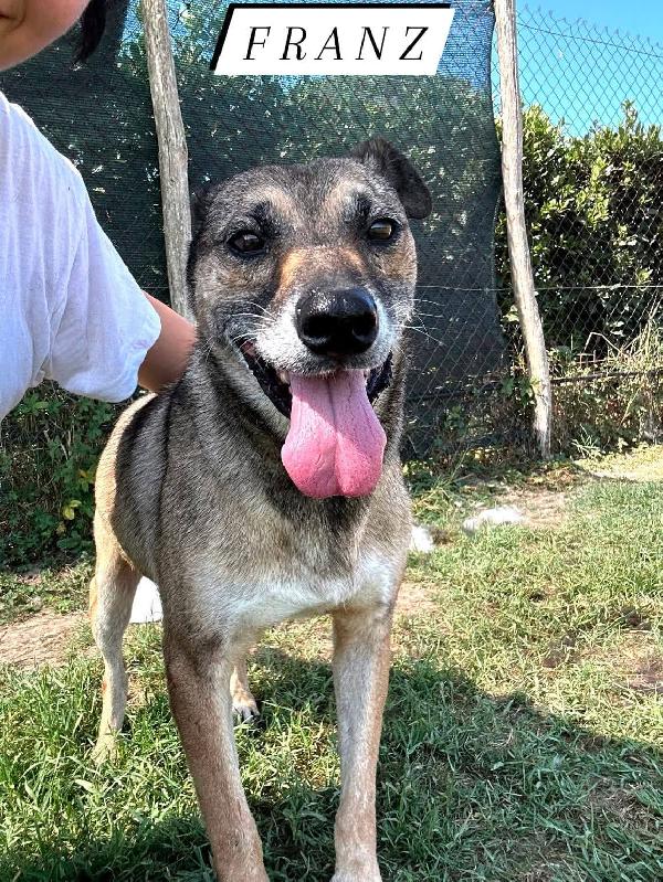 Franz, Regaliamogli Un Futuro