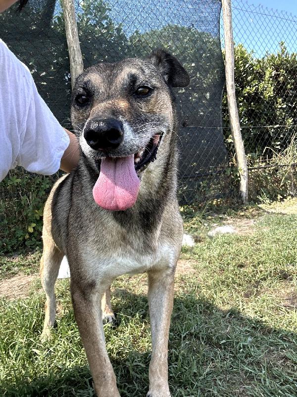 FRANZ, regaliamogli un futuro Foto 3