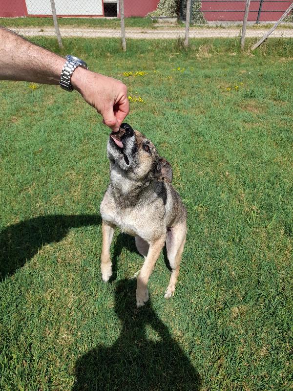 FRANZ, regaliamogli un futuro Foto 4