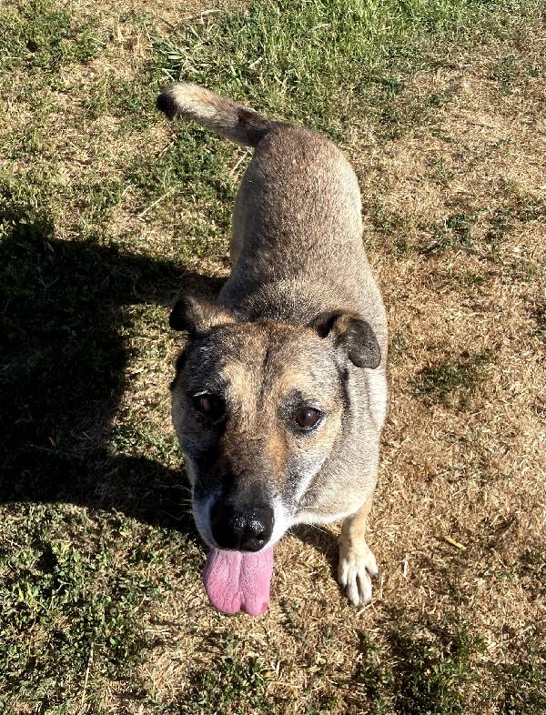 FRANZ, regaliamogli un futuro Foto 5