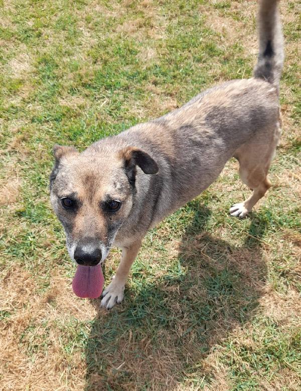 FRANZ, regaliamogli un futuro Foto 6