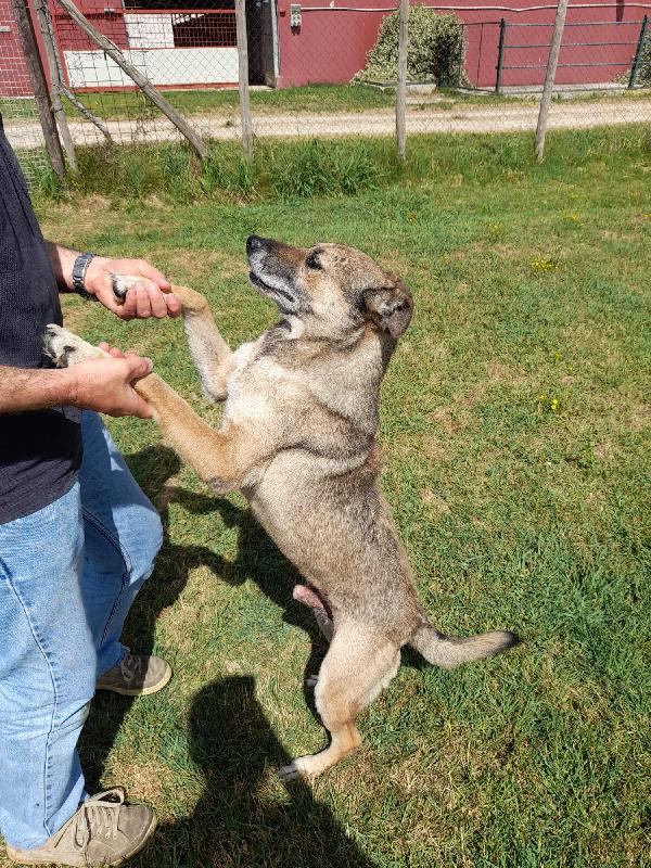 FRANZ, regaliamogli un futuro Foto 7