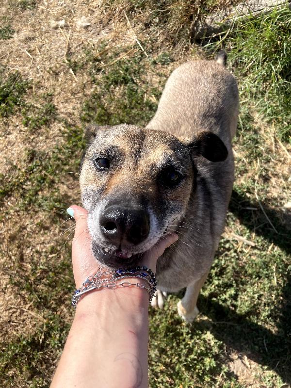 FRANZ, regaliamogli un futuro Foto 8