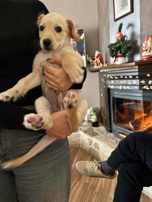 Ugo cerca casa ❤️ Foto 2