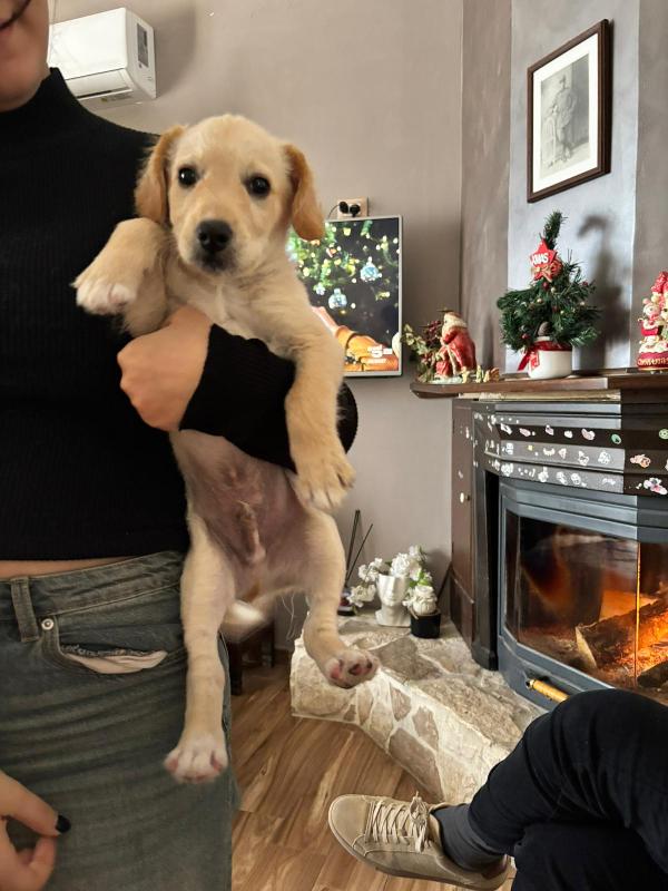 Ugo cerca casa ❤️ Foto 3