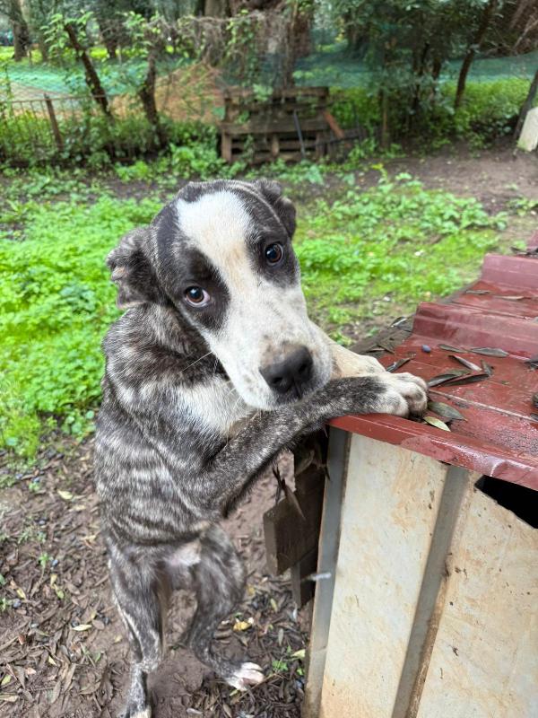 UNA MAMMA PER OTIS  Foto 4