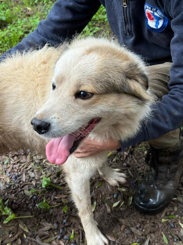 UNA MAMMA PER MILO Foto 2