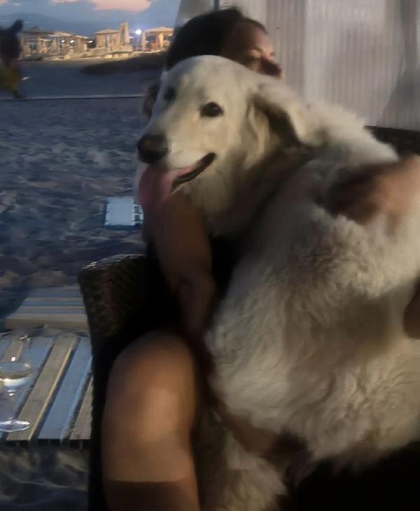 Tony un angelo di 4 anni prigioniero di un recinto Foto 6