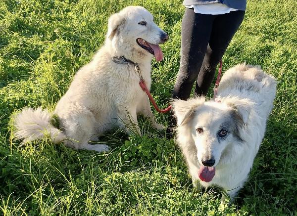 Titty E Tony Due Splendidi Angeli Reclusi 