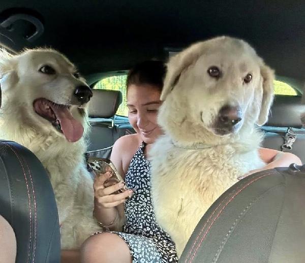 Titty e tony due splendidi angeli reclusi  Foto 3