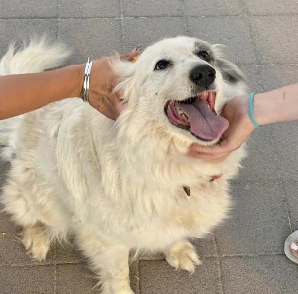 Titty e tony due splendidi angeli reclusi  Foto 4