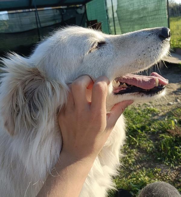 Titty e tony due splendidi angeli reclusi  Foto 6