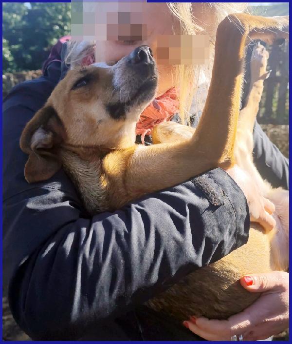 ALPENLIEBE, TENERA PICCOLETTA DI 4 ANNI CERCA UNA FAMIGLIA AMOREVOLE ED AFFETTUOSA! Foto 3