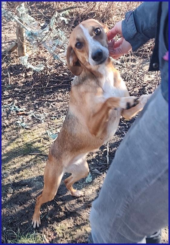 ALPENLIEBE, TENERA PICCOLETTA DI 4 ANNI CERCA UNA FAMIGLIA AMOREVOLE ED AFFETTUOSA! Foto 4