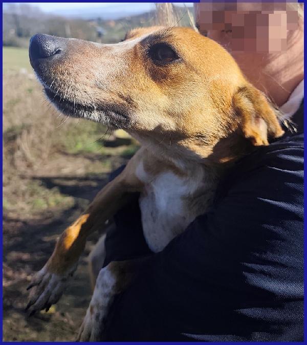 ALPENLIEBE, TENERA PICCOLETTA DI 4 ANNI CERCA UNA FAMIGLIA AMOREVOLE ED AFFETTUOSA! Foto 7