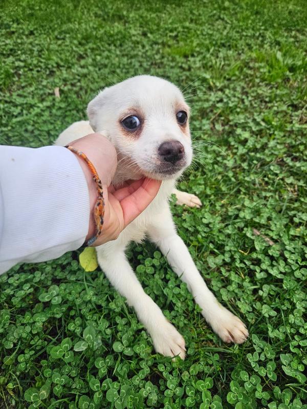 Ester: 3 Mesi Taglia Piccola 