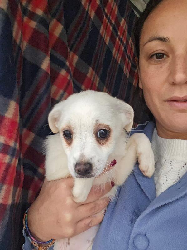 Ester: 3 mesi taglia piccola  Foto 4