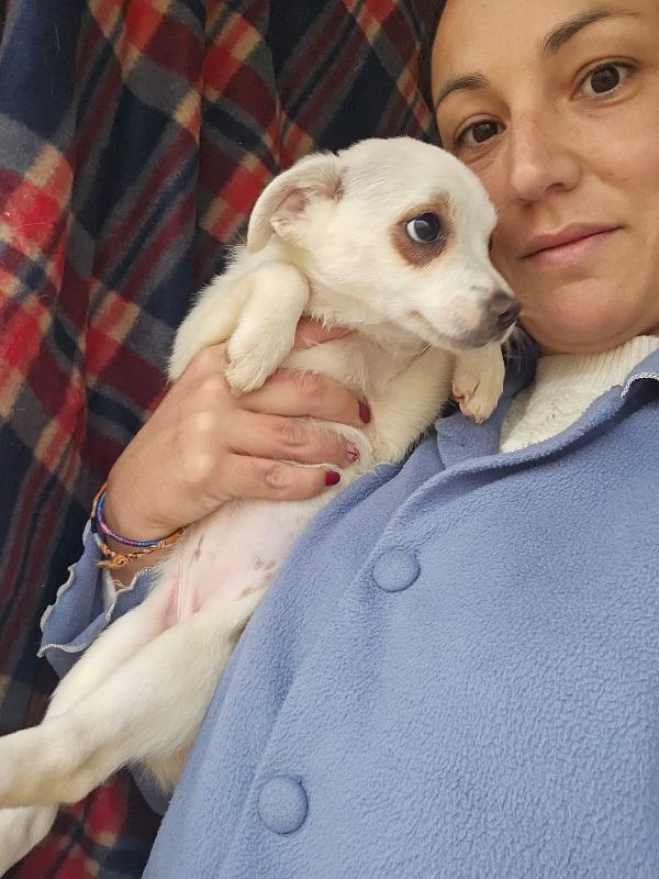 Ester: 3 mesi taglia piccola  Foto 5