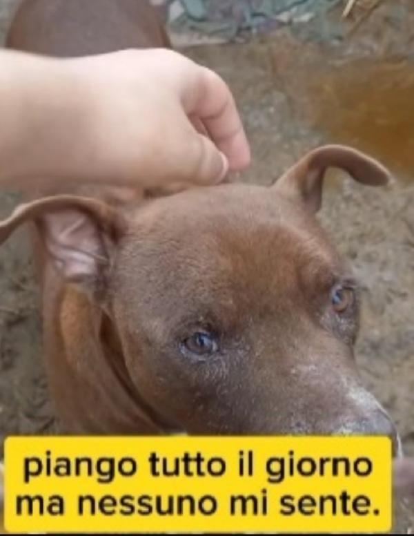 Oltre 8Anni Di Attese..una Pena Incredibile! Sud