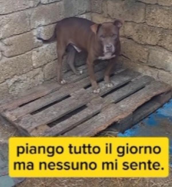 Oltre 8anni di attese..una pena incredibile! SUD Foto 3