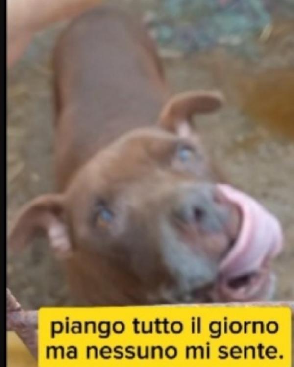 Oltre 8anni di attese..una pena incredibile! SUD Foto 4