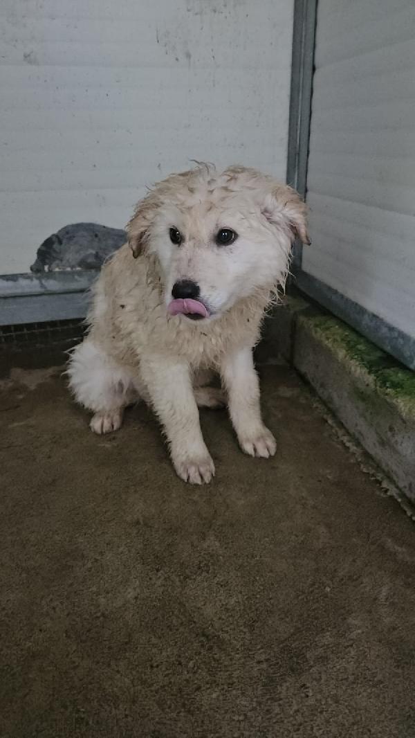 Snow: 4 Mesi Taglia Grande 