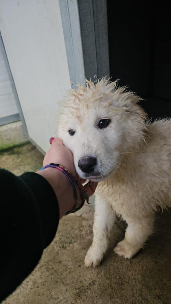 Jury: 4 Mesi Taglia Grande 