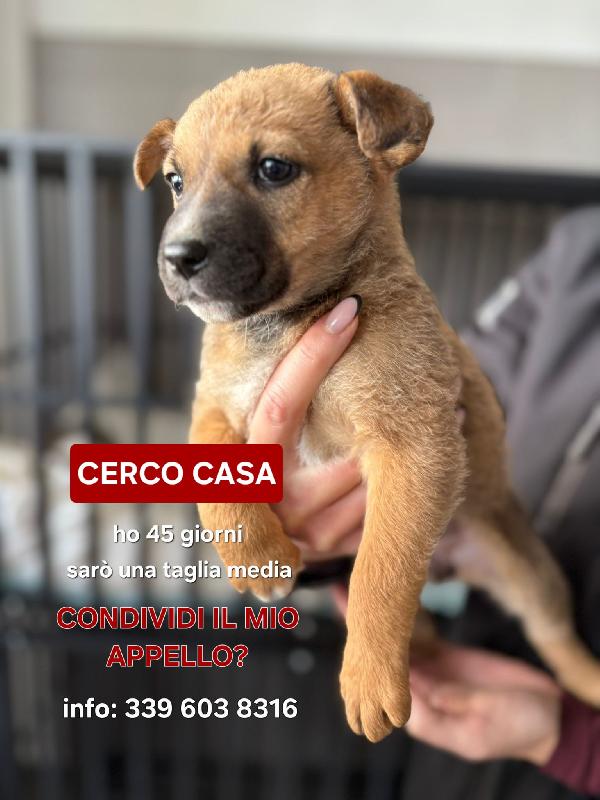 Freccia 💞 45 giorni  Foto 6