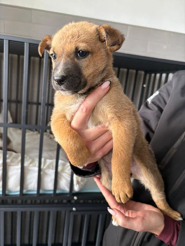 Freccia 💞 45 giorni  Foto 8