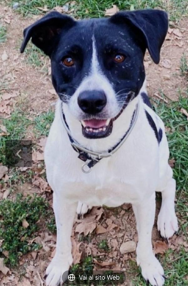 Polka 5Anni Aspetta Ancora Casa Milano Sos