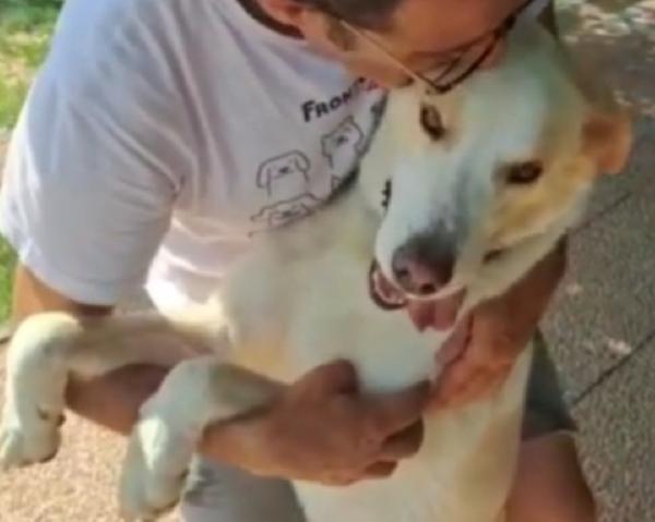 Mia mix Labrador 5anni mollata in canile anni fa.LAZIO Foto 6