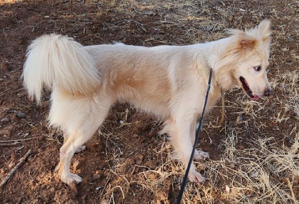 Vera 3anni vive in garage col figlio.COSENZA Foto 2