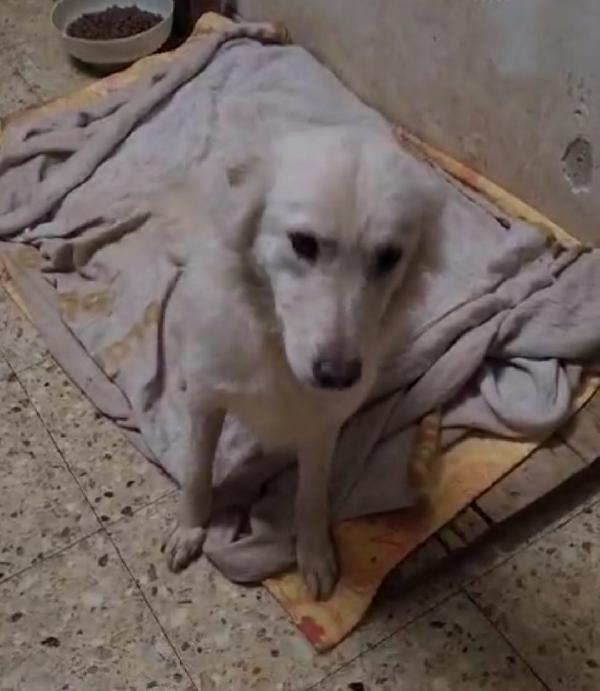 Vera 3anni vive in garage col figlio.COSENZA Foto 3