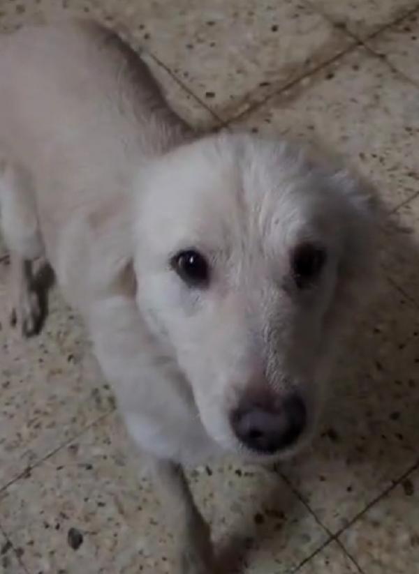 Vera 3anni vive in garage col figlio.COSENZA Foto 4