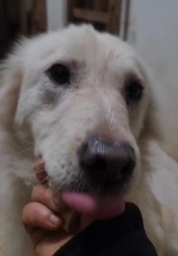 Vera 3anni vive in garage col figlio.COSENZA Foto 5