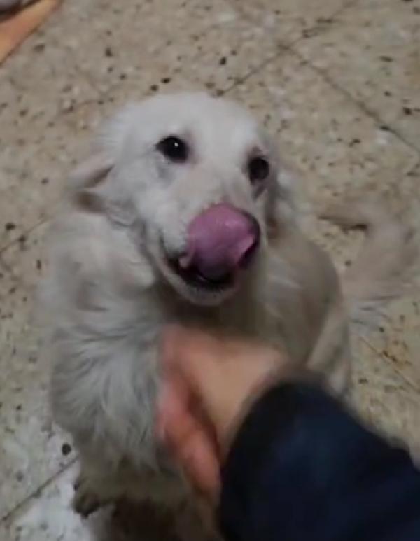 Vera 3anni vive in garage col figlio.COSENZA Foto 6