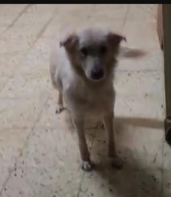 Vera 3anni vive in garage col figlio.COSENZA Foto 7