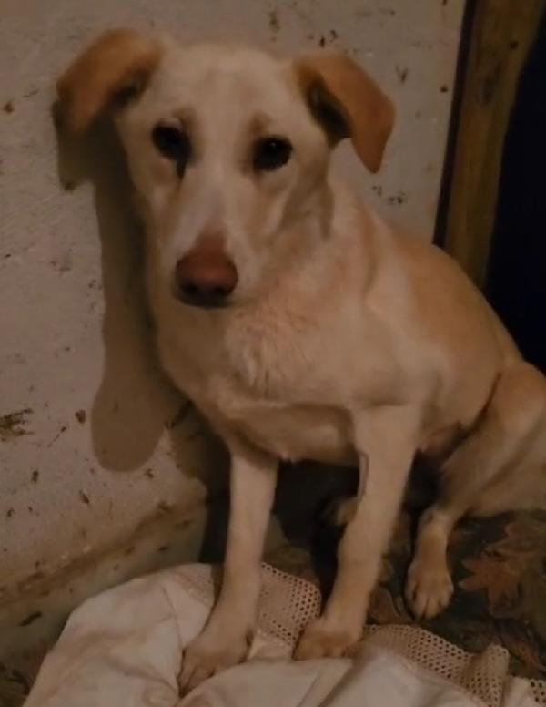 Vera 3anni vive in garage col figlio.COSENZA Foto 8