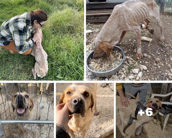 Aria Merita Una Casa 