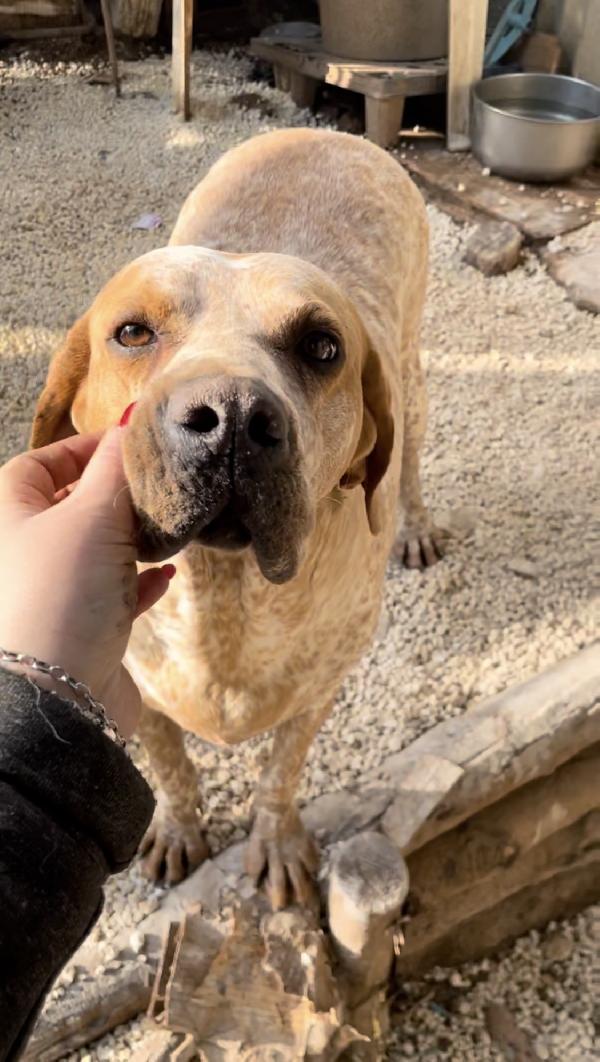 Aria merita una casa  Foto 2