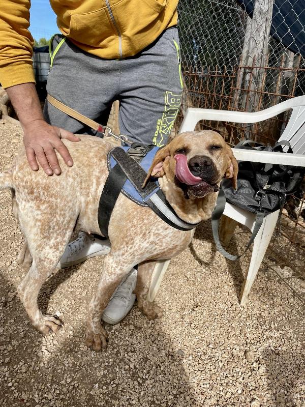 Aria merita una casa  Foto 4