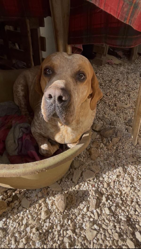 Aria merita una casa  Foto 3