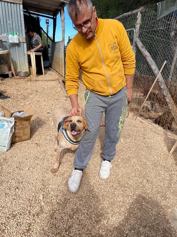 Aria merita una casa  Foto 5