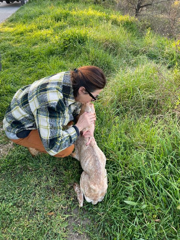 Aria merita una casa  Foto 6