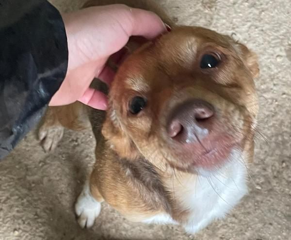 8 Kili Di Dolcezza : Cangu