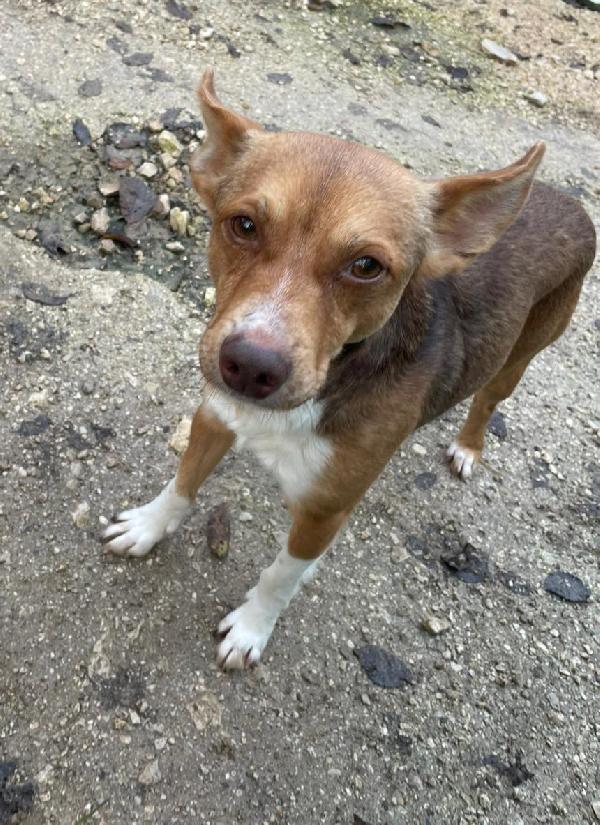 8 kili di dolcezza : CANGU Foto 3