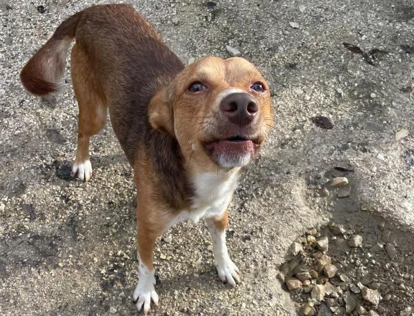 8 kili di dolcezza : CANGU Foto 6