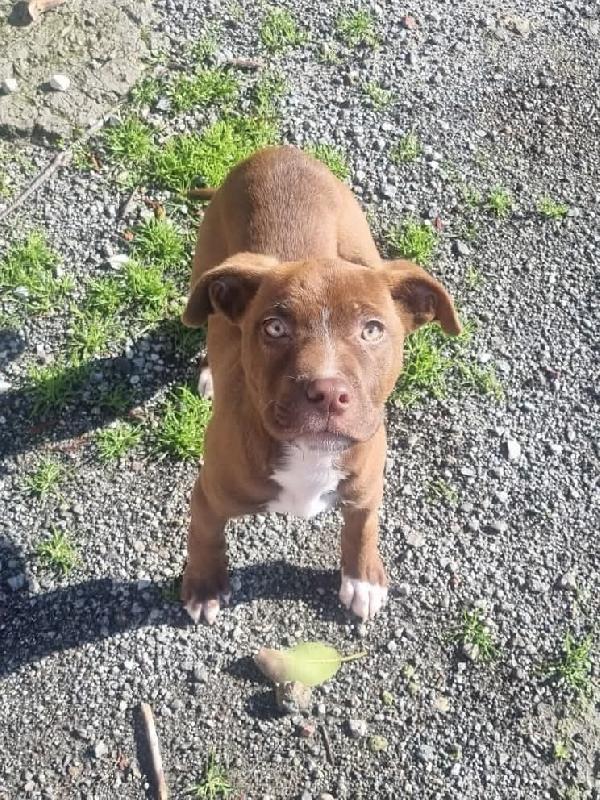 Eros... Perché Vi Farà Innamorare🥰