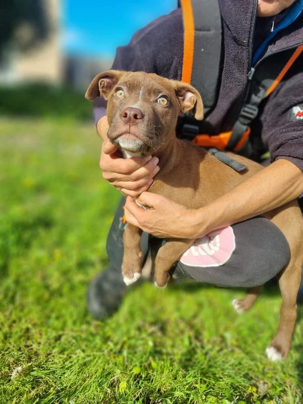 Eros... perché vi farà innamorare🥰 Foto 2