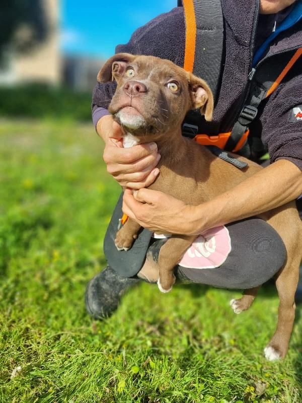 Eros... perché vi farà innamorare🥰 Foto 3